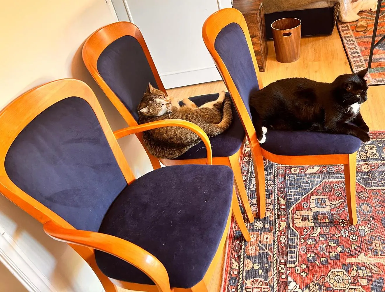 Upholstery work by Kate 9